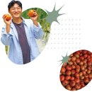 김기현농장 이미지