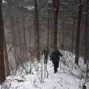 솔치농로 이미지