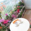 참새의 정원 이미지