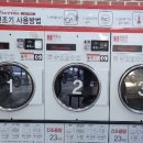 워시테리아 이미지