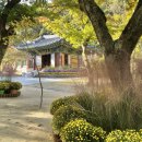 아미스테이 이미지