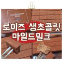 로이즈 | 🤎 사르르 녹아내리는 행복! 로이즈 생초콜릿 마일드 밀크 솔직 개봉 후기!