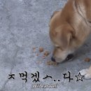 수현세탁소 이미지