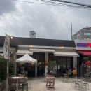 싱싱가요주점 | [잠실 송리단길 횟집 술집] 석촌역 맛집 이자카야 ‘대강’ 솔직후기 (feat. 숙성회·닭구이·열빙어 🐟🎶)