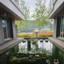 경주카페:) 바실라 내돈내간 솔직후기/ 해바라기 맨드라미 포토존 대형카페 추천
