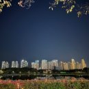 닥터정요양원