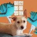 혜민동물병원 이미지