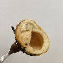 무아 | 광주 화정동 조용한 카페 추천 소금빵 찐맛집 무아베이크샵 후기