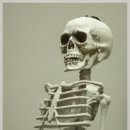 부개역쿰정형외과의원 | 무릎 통증 작은 습관이 큰 차이를 만든다