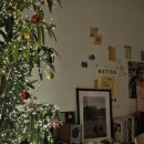 수원-0149 이미지