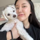 지 ·엠 ·지 이미지