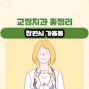 닥터오치과의원 | 창원시 가음동 교정치과 총정리