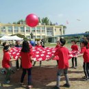 동화초등학교 이미지