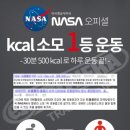 제일점핑다이어트