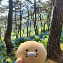 진수밥상 이미지