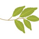 대연부동산공인중개사사무소 이미지