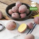 삼촌유통 이미지