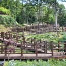 문수산자연휴양림 이미지