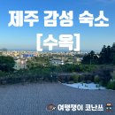 제주 감성 숙소 내돈내산 수옥 후기 - 서귀포 독채 숙소 오션뷰 풀빌라 모든 것이 완벽하다!