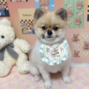 나현유치원 | 2025년 6월부터 7월 중순