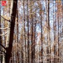 쌈밥명가 이미지