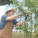 쉬어가는 공간 이미지