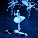 유니버설 발레단 <백조의 호수> 이미지