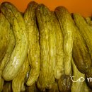 오이지 카카오 검색결과