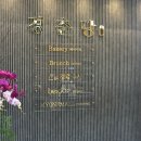 이천 신상카페 경춘당 후기 | 브런치·베이커리·식물원 다 되는 감성맛집