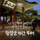 여행영어(야간) | [종로 놀거리] 창경궁 야간개장 궁 투어 · 타임크로싱 내돈내산 후기