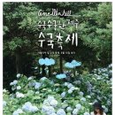 수국수국 이미지