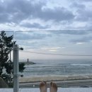 스테이수안 이미지