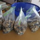 하고수동 탈의장 이미지