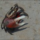 북평 오산마을 구간 이미지