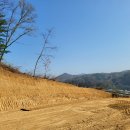 대성산소 네이버블로그