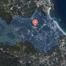 이지윤공인중개사사무소 이미지