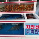 활어포차하루