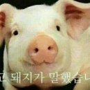 선근식당 이미지