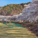 달창로,달창로26길 이미지