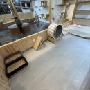 성수왕방힐링마을 | 성수고양이카페 길고양이마을 다녀온 힐링 후기