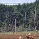 봄빛농장 이미지