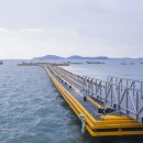 가경주항 이미지