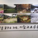 고요정원 | 경기도 가평군 청평면 아침고요수목원 방문후기｜사계절 꽃정원·빛축제 이용가이드 총정리