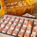 구내농장 이미지