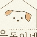 은동이네 이미지