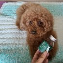 모모맘하우스 이미지