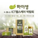 웰니스헬스케어