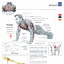 직선 퍼스널트레이닝 이미지