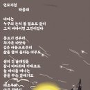 연모지정 Daum카페