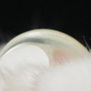 봄동살롱 이미지